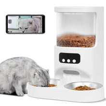 SmartServe Dual Cat Interactive Feeder with HD Cam