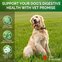 Probiotic Dog Chews for Digestive & Skin Health, 120 Count