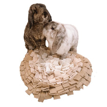 Poppyseed Paws Heart Snuffle Mat & Slow Feeder for Rabbits