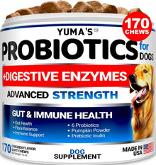 Dog Probiotics & Digestive Enzymes — 170 Chews